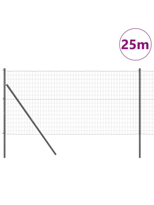 Žogs ar stabiem. pelēka 1 x 25 m tērauds