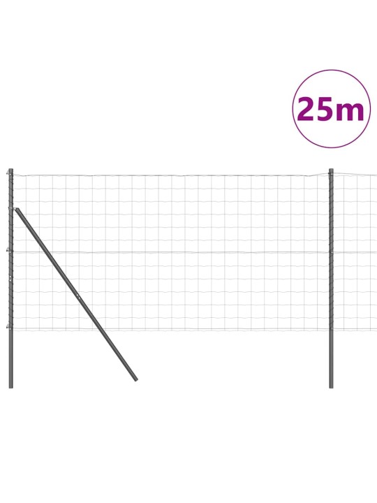 Žogs ar stabiem. pelēka 1 x 25 m tērauds
