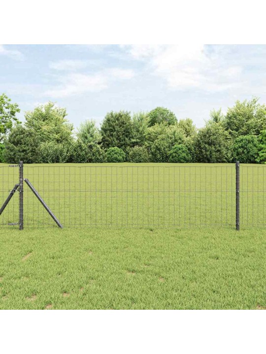 Žogs ar stabiem. pelēka 0.4 x 50 m tērauds