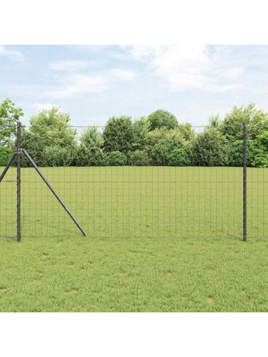 Žogs ar stabiem. pelēka 1 x 10 m tērauds