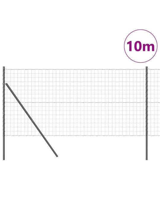 Žogs ar stabiem. pelēka 1 x 10 m tērauds