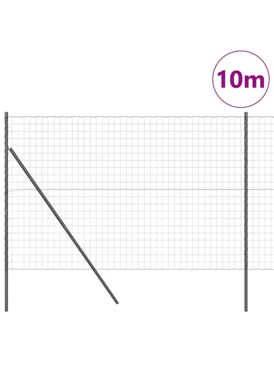 Žogs ar stabiem. pelēka 1.6 x 10 m tērauds