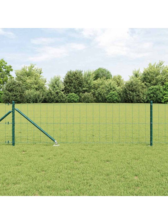Žogs ar stabiem. zaļa 0.8 x 25 m tērauds