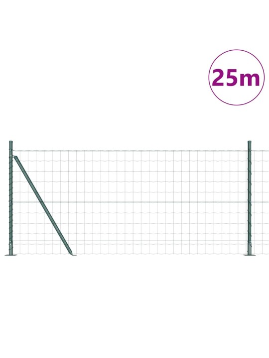 Žogs ar stabiem. zaļa 1 x 25 m tērauds