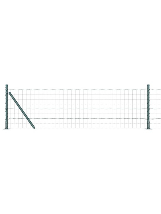 Žogs ar stabiem. zaļa 0.6 x 50 m tērauds