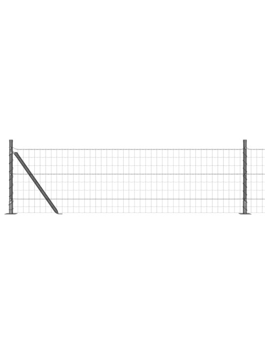 Žogs ar stabiem. pelēka 0.4 x 10 m tērauds