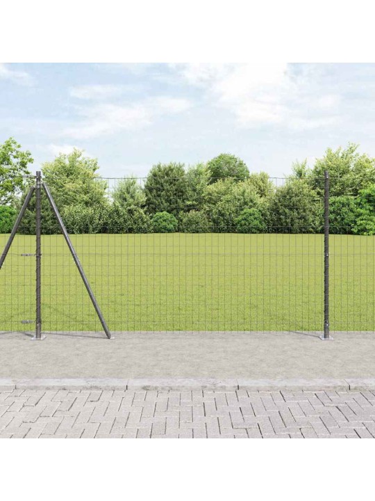Žogs ar stabiem. pelēka 1.2 x 10 m tērauds