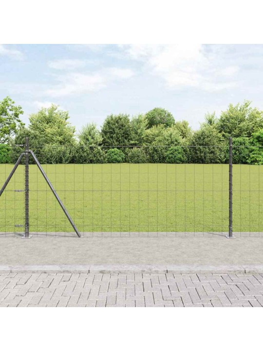 Žogs ar stabiem. pelēka 0.8 x 10 m tērauds