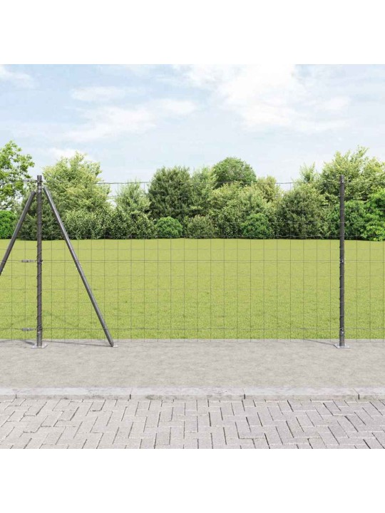 Žogs ar stabiem. pelēka 1.2 x 10 m tērauds