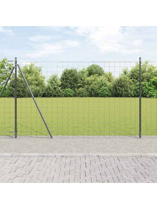Žogs ar stabiem. pelēka 1.6 x 10 m tērauds