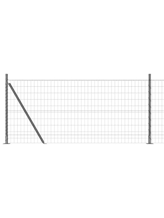 Žogs ar stabiem. pelēka 0.8 x 25 m tērauds