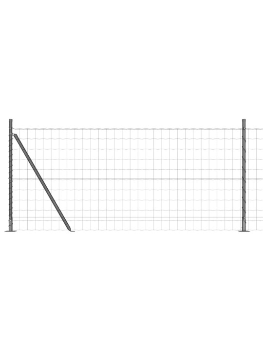 Žogs ar stabiem. pelēka 0.8 x 25 m tērauds