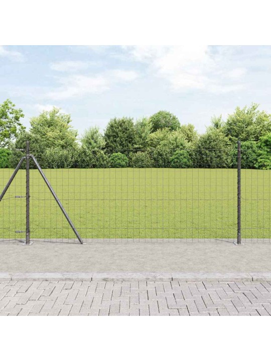 Žogs ar stabiem. pelēka 0.8 x 25 m tērauds