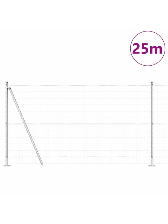 Žogs ar stabiem. sudraba 1.2 x 25 m tērauds