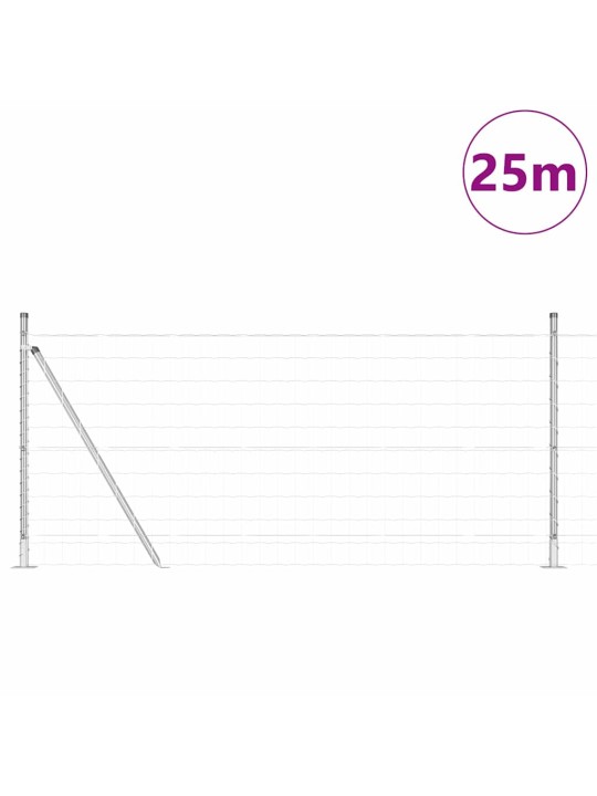 Žogs ar stabiem. sudraba 1 x 25 m tērauds