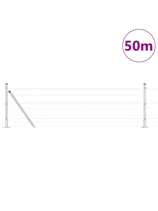 Žogs ar stabiem. sudraba 0.6 x 50 m tērauds