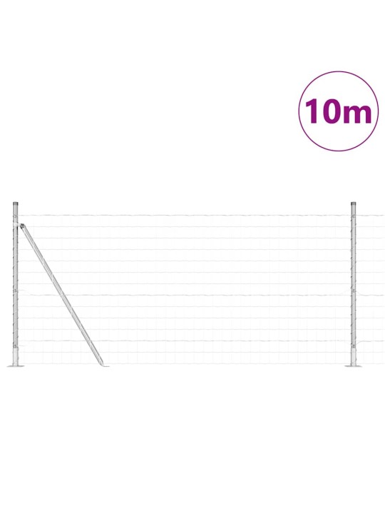 Žogs ar stabiem. sudraba 1 x 10 m tērauds
