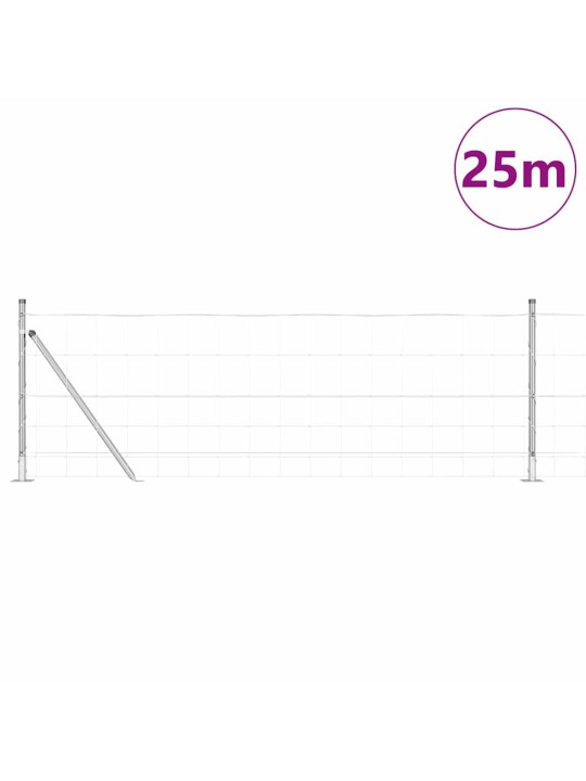 Lauku žogs sudraba 25 x 0.8 m cinkots tērauds