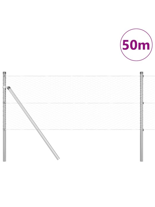Žogs ar stabiem. sudraba 0.6 x 50 m pvc pārklāts tērauds