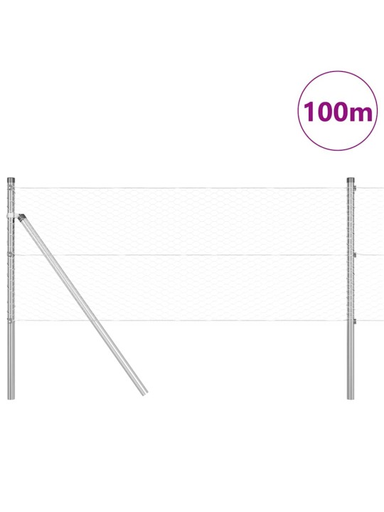 Žogs ar stabiem. sudraba 0.6 x 100 m pvc pārklāts tērauds