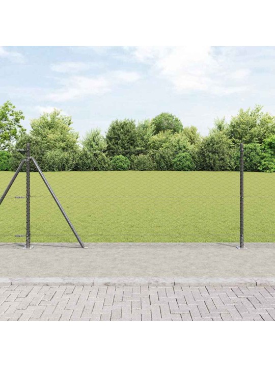 Žogs ar stabiem. pelēka 0.8 x 25 m pvc pārklāts tērauds