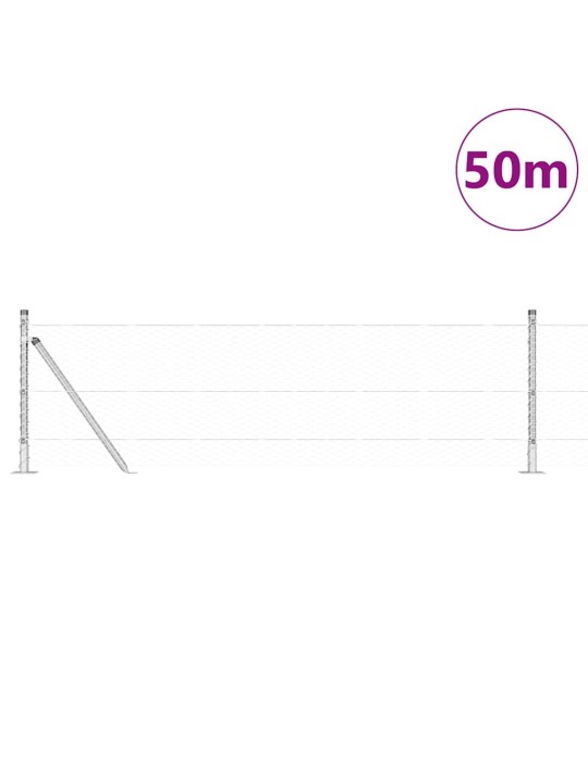 Žogs ar stabiem. sudraba 0.6 x 50 m pvc pārklāts tērauds