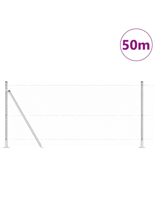 Žogs ar stabiem. sudraba 1 x 50 m pvc pārklāts tērauds