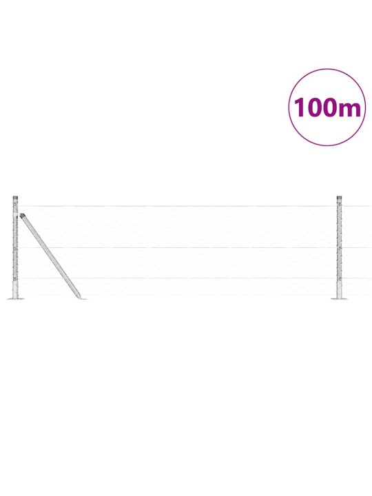 Žogs ar stabiem. sudraba 0.6 x 100 m pvc pārklāts tērauds
