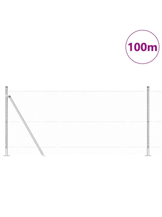 Žogs ar stabiem. sudraba 1 x 100 m pvc pārklāts tērauds
