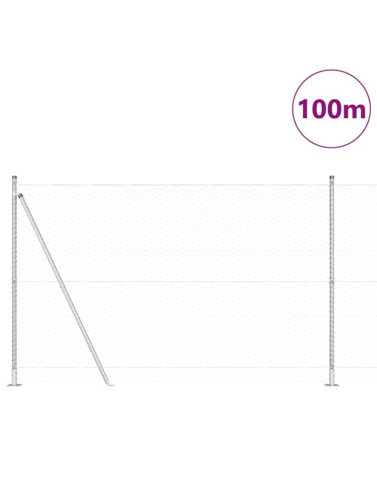 Žogs ar stabiem. sudraba 1.6 x 100 m pvc pārklāts tērauds
