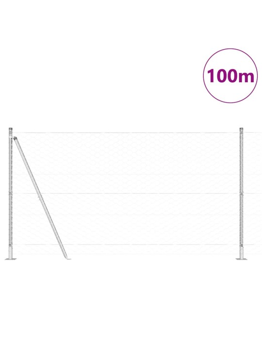 Žogs ar stabiem. sudraba 1.6 x 100 m pvc pārklāts tērauds