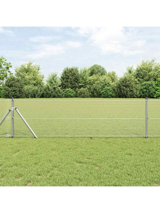 Žogs ar stabiem. sudraba 0.8 x 25 m tērauds
