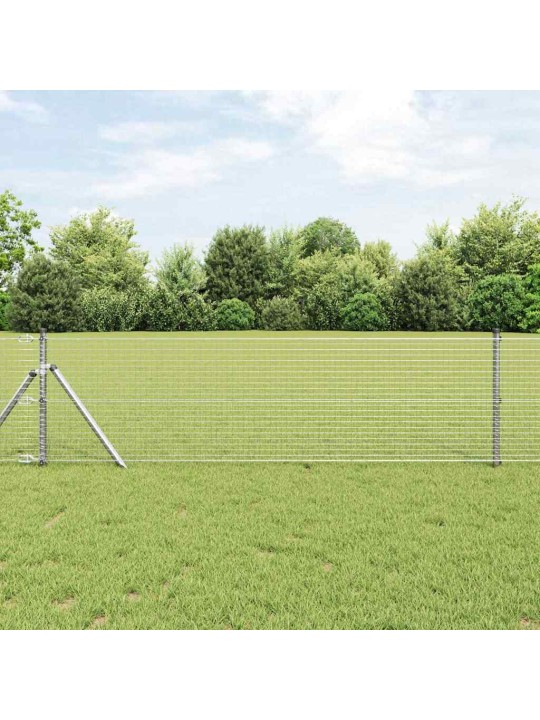 Žogs ar stabiem. sudraba 0.8 x 25 m tērauds