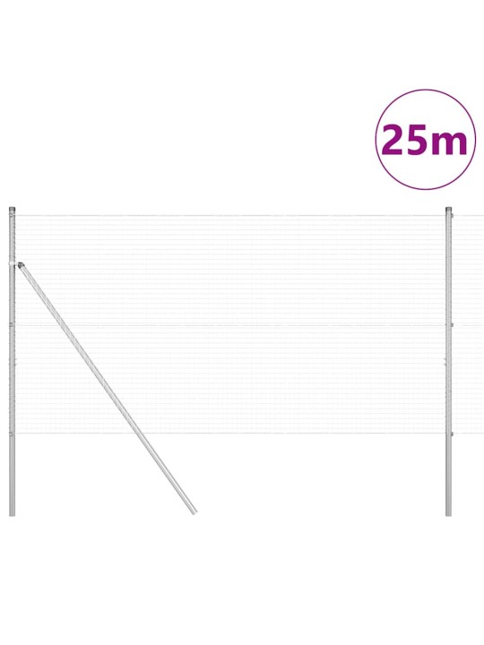 Žogs ar stabiem. sudraba 1.4 x 25 m tērauds