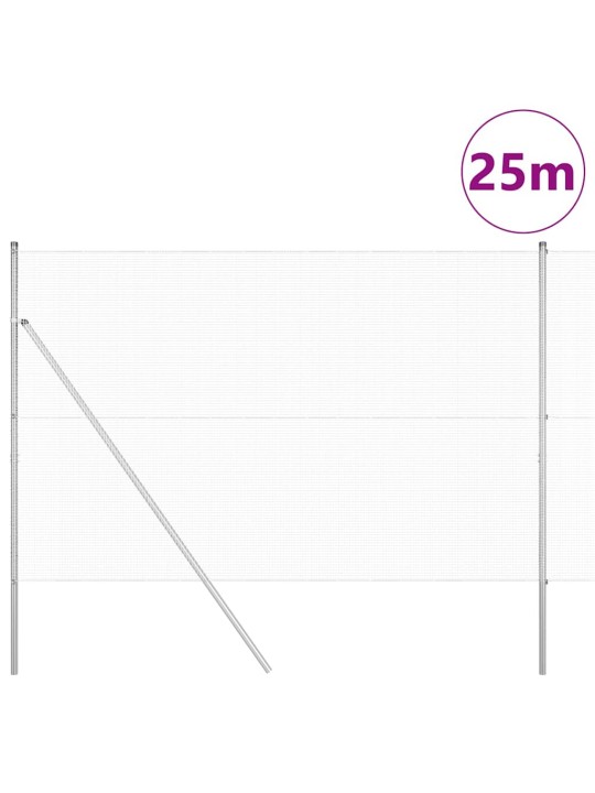Žogs ar stabiem. sudraba 1.6 x 25 m tērauds