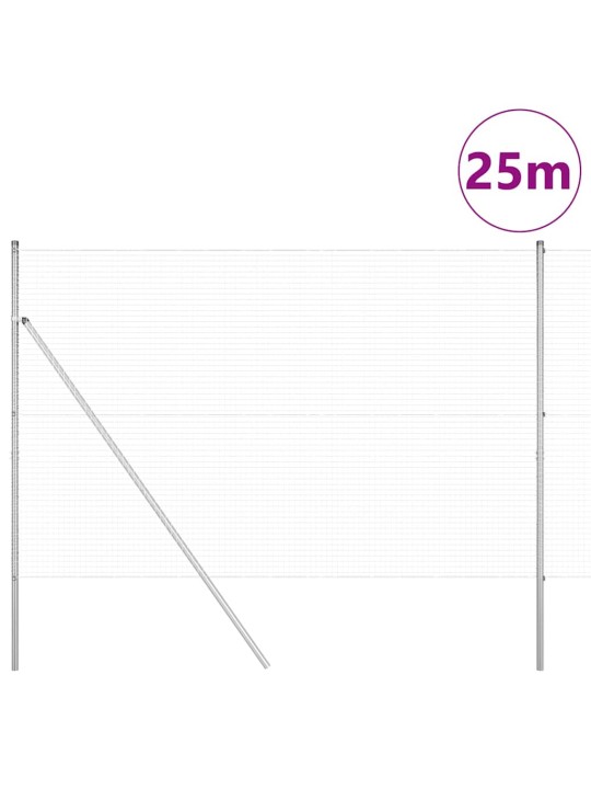 Žogs ar stabiem. sudraba 1.6 x 25 m tērauds