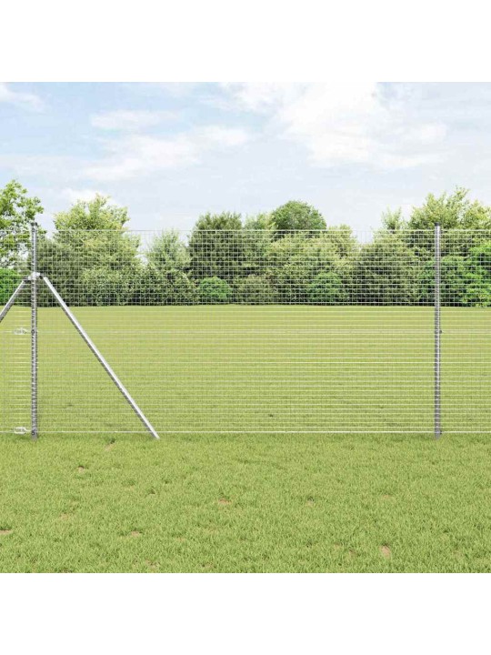 Žogs ar stabiem. sudraba 1.4 x 50 m tērauds