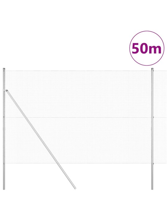 Žogs ar stabiem. sudraba 1.5 x 50 m tērauds