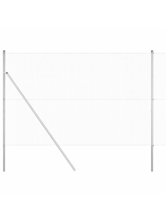Žogs ar stabiem. sudraba 1.6 x 50 m tērauds