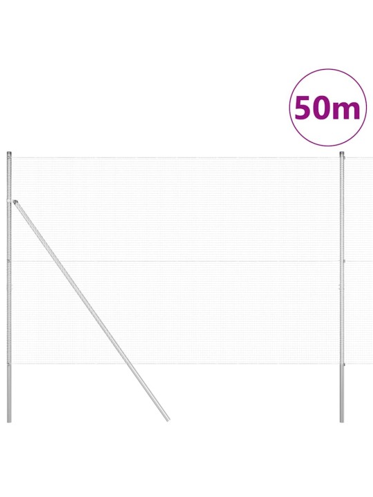 Žogs ar stabiem. sudraba 1.6 x 50 m tērauds