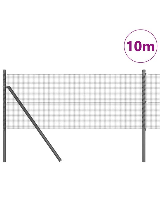 Žogs ar stabiem. pelēka 0.4 x 10 m tērauds