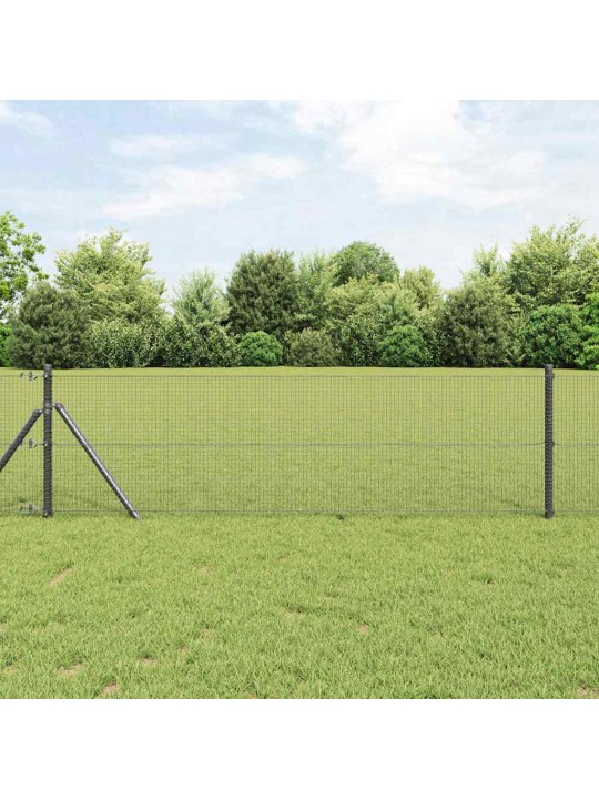 Žogs ar stabiem. pelēka 0.4 x 10 m tērauds