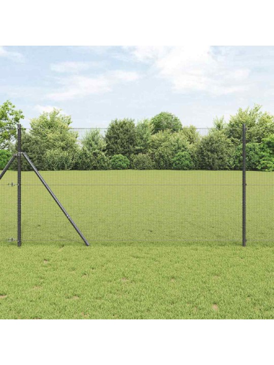 Žogs ar stabiem. pelēka 1 x 10 m tērauds