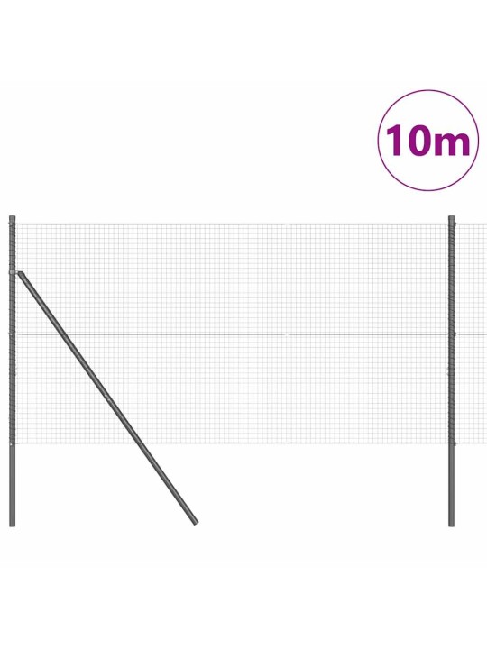 Žogs ar stabiem. pelēka 1 x 10 m tērauds
