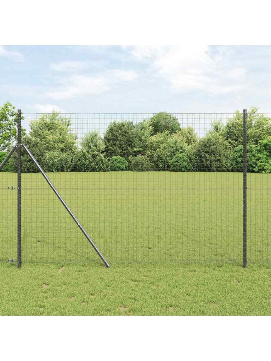 Žogs ar stabiem. pelēka 1.6 x 10 m tērauds