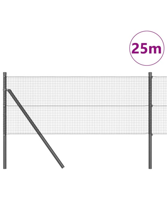 Žogs ar stabiem. pelēka 0.4 x 25 m tērauds