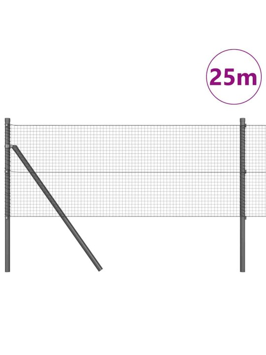 Žogs ar stabiem. pelēka 0.5 x 25 m tērauds