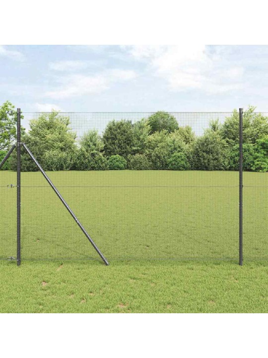 Žogs ar stabiem. pelēka 1.6 x 25 m tērauds