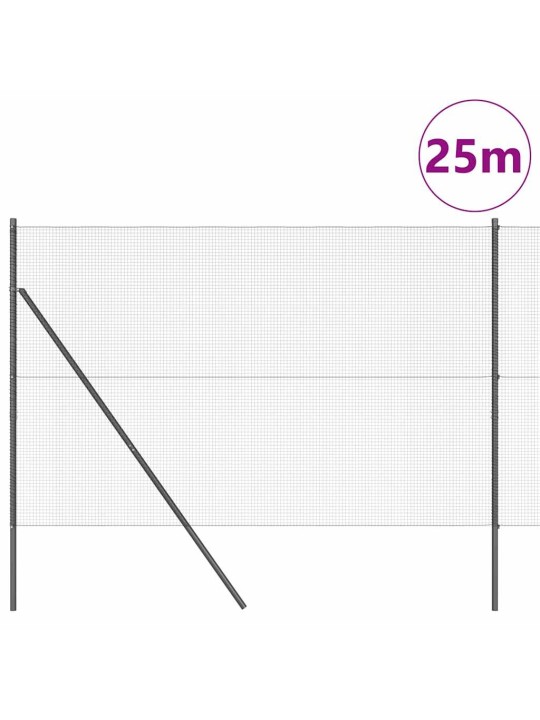 Žogs ar stabiem. pelēka 1.6 x 25 m tērauds