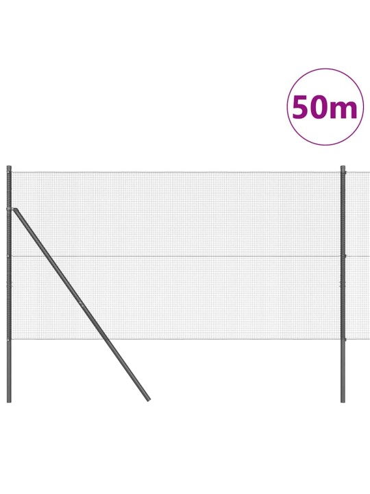 Žogs ar stabiem. pelēka 1 x 50 m tērauds